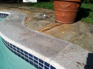 New Tile and Coping with Bullnose Granite Coping